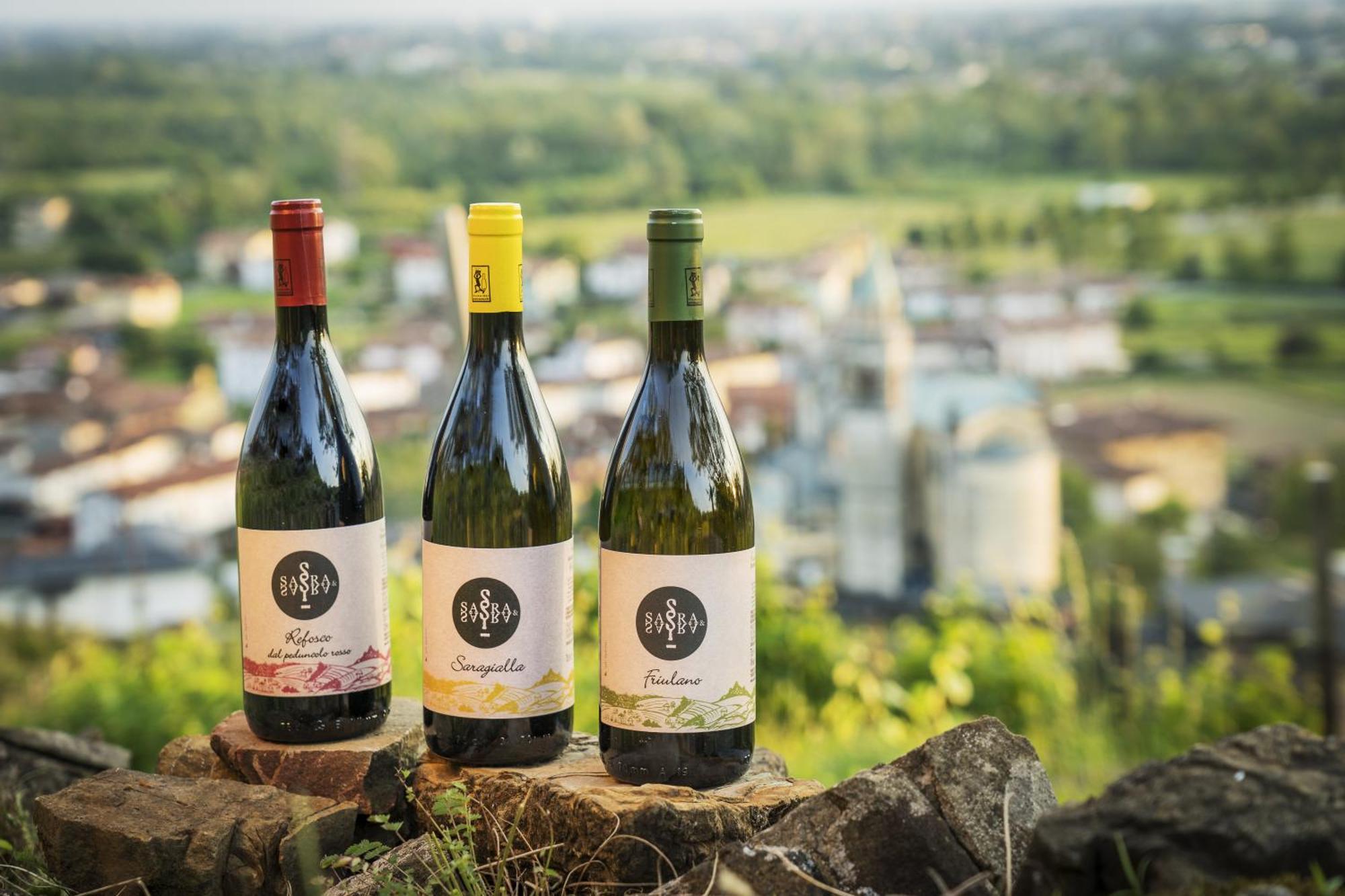 Sara&Sara Alloggio Agrituristico Savorgnano Ngoại thất bức ảnh